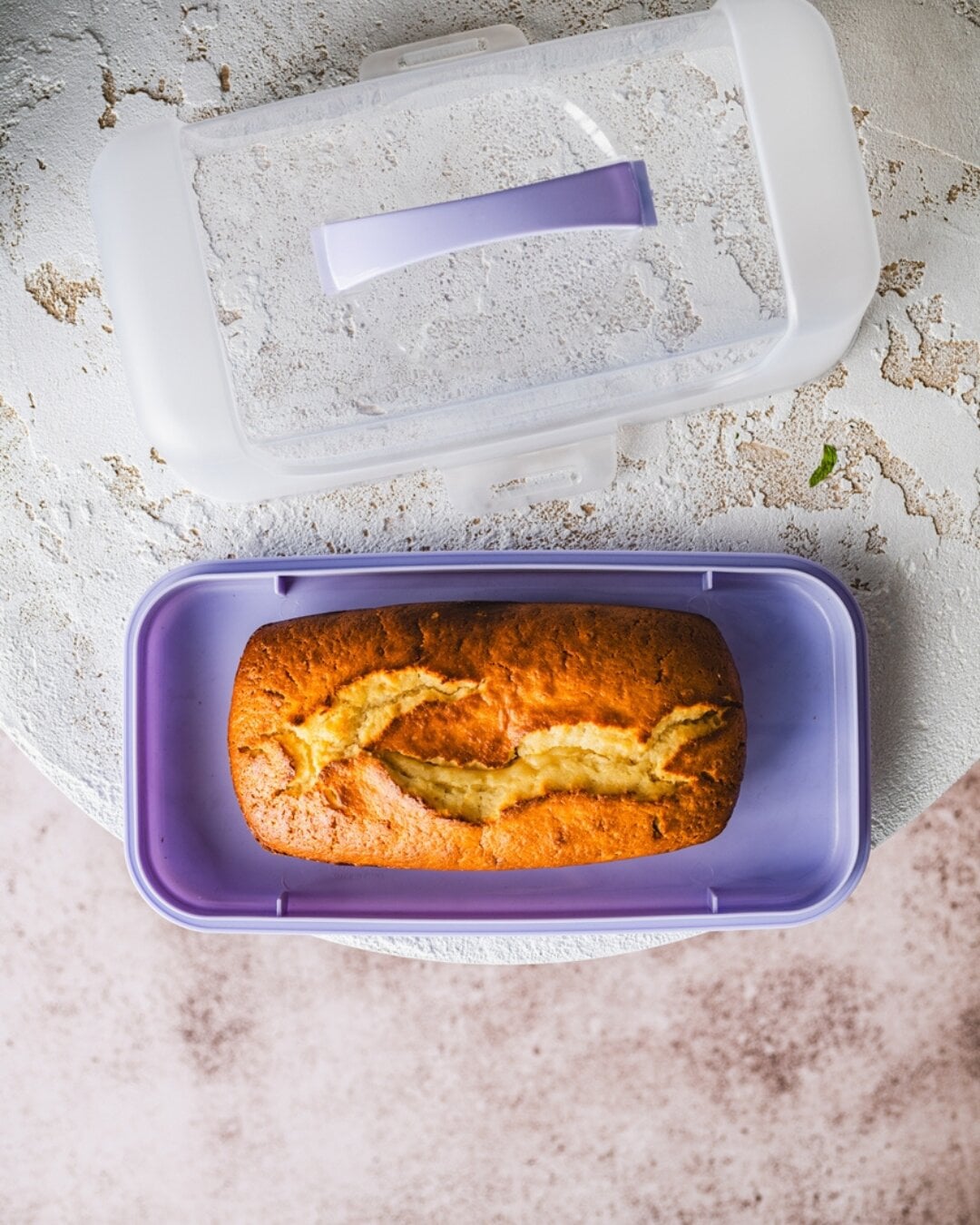 Pojemnik na ciasto prostokątny z pokrywką 34 x 19 x 3,5 cm, pudełko do przechowywania - Forno Perme - fioletowe, przezroczyste, plastikowe 