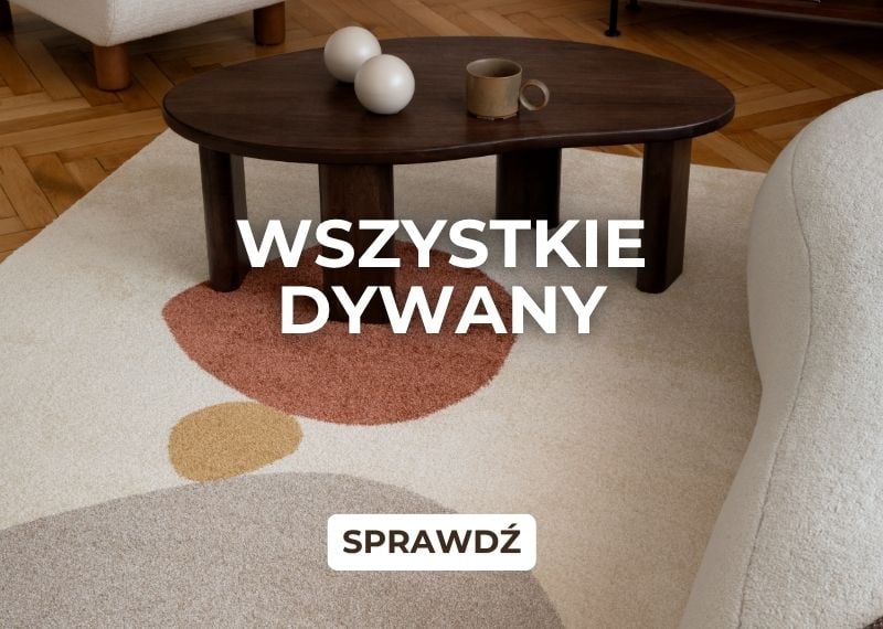 Wszystkie dywany &ndash; nowoczesny dywan w salonie